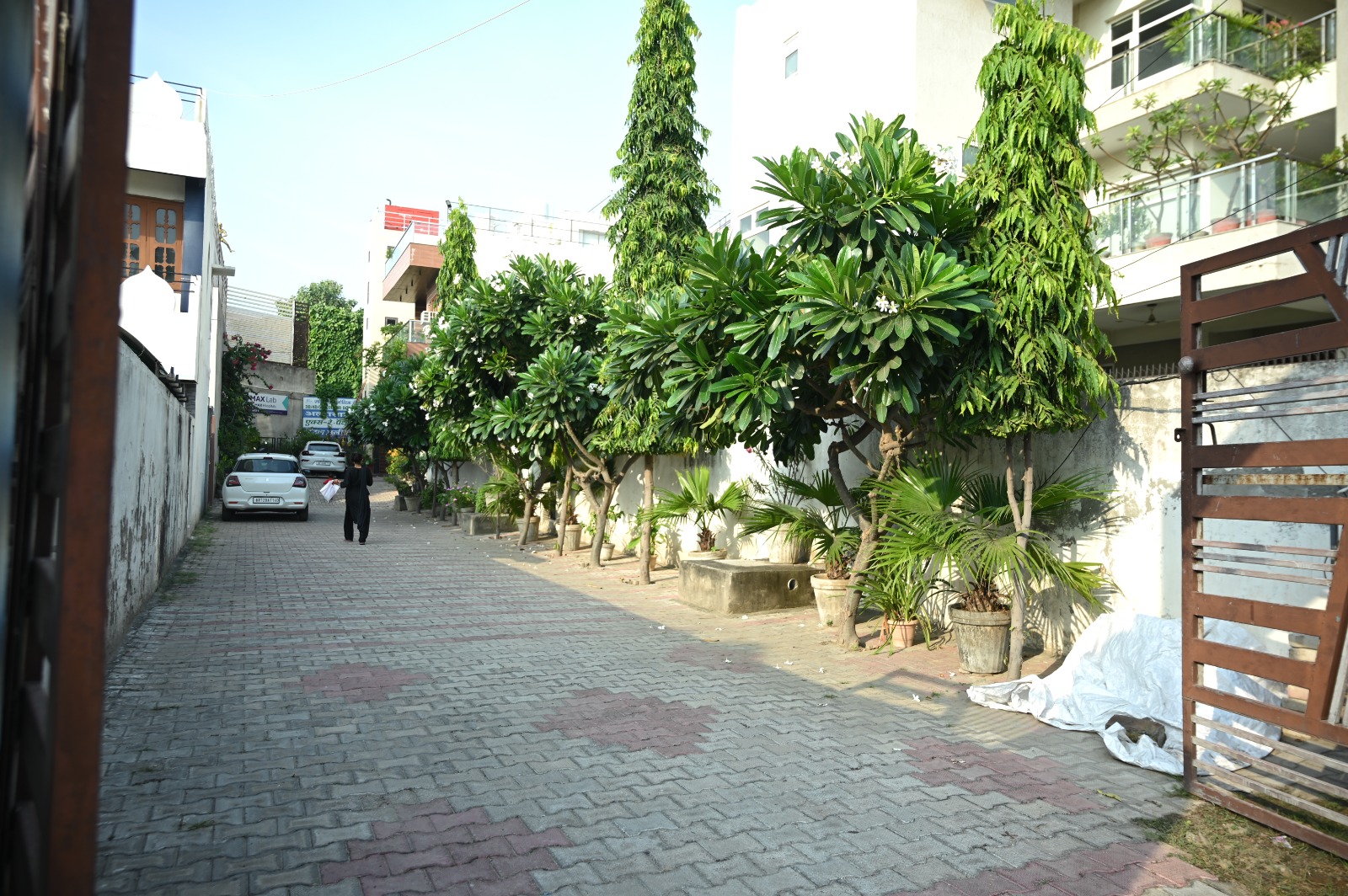 Tree-lined entrance driveway leading into Jangra Diagnostic Centre